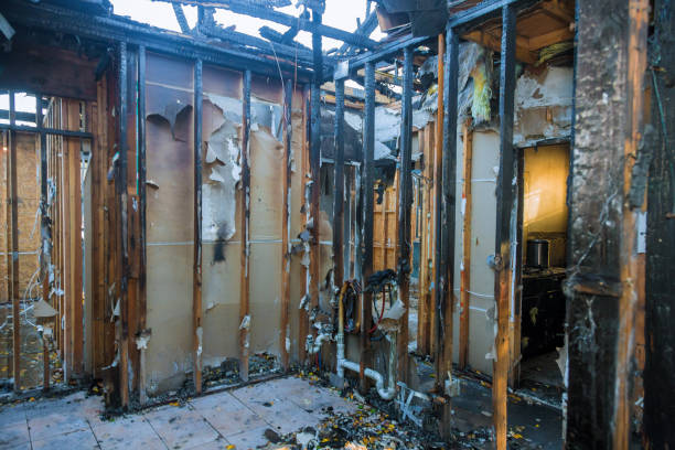 Professional Soot Cleanup technician working in Annandale, MN