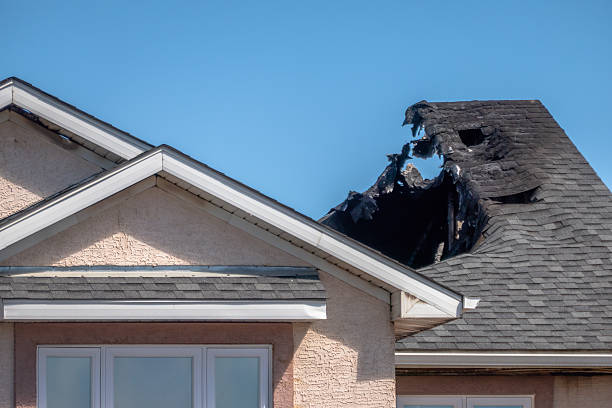 Top rated local Soot Cleanup specialists in Annandale, MN